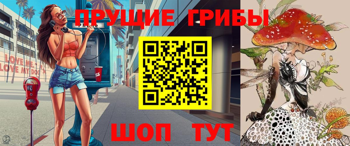 Галлюциногенные грибы Psilocybe  Вход с VPN  Курчатов 